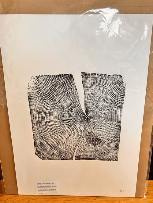 Trætryk - eg fra Horsbjerg Skovværk