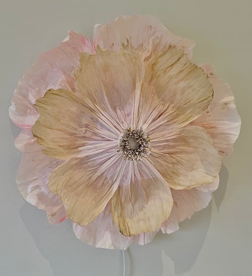 Enya  fra LykkeBlomst 