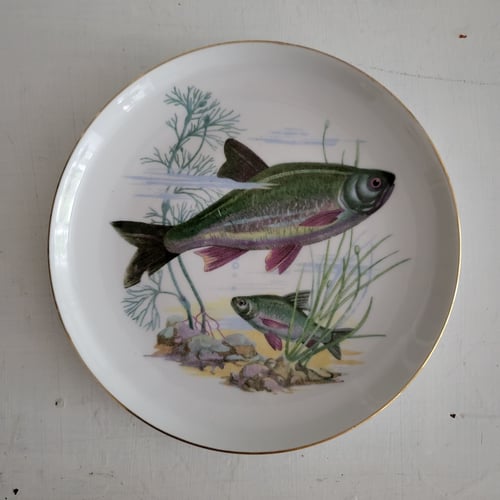 Colditz Fisketallerken nr.13