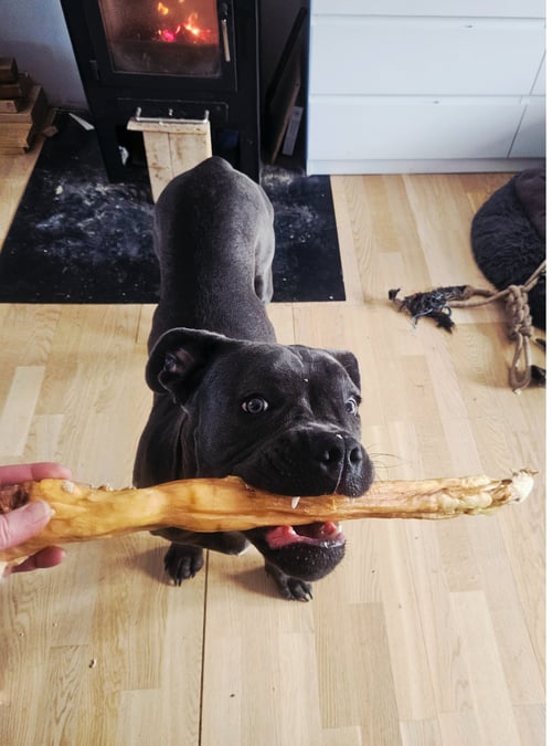 Kaninskind rulle med pels fra Doggydeli 