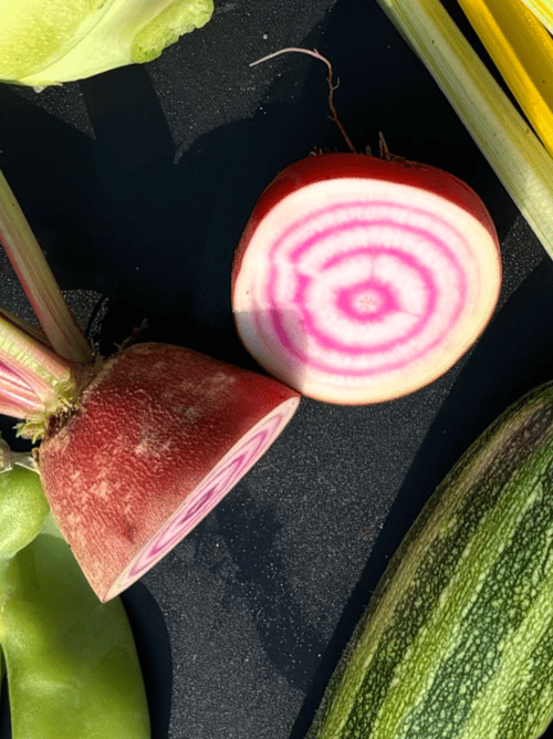 Bolchebeder -  Tondo di chioggia - øko fra Katrines Have