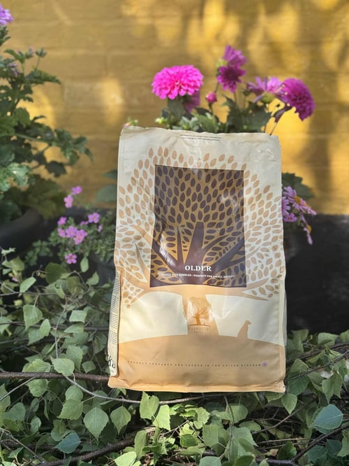 Essential Foods Older 2,5 kg. fra Bornholms Hundecenter