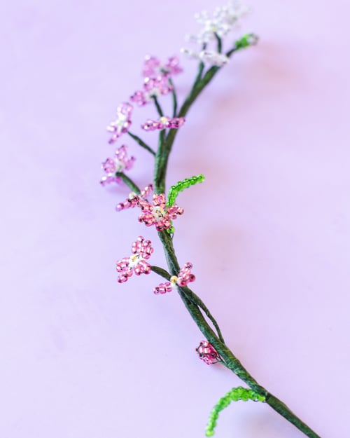 Rosa forglem mig ej fra By Maria Silje