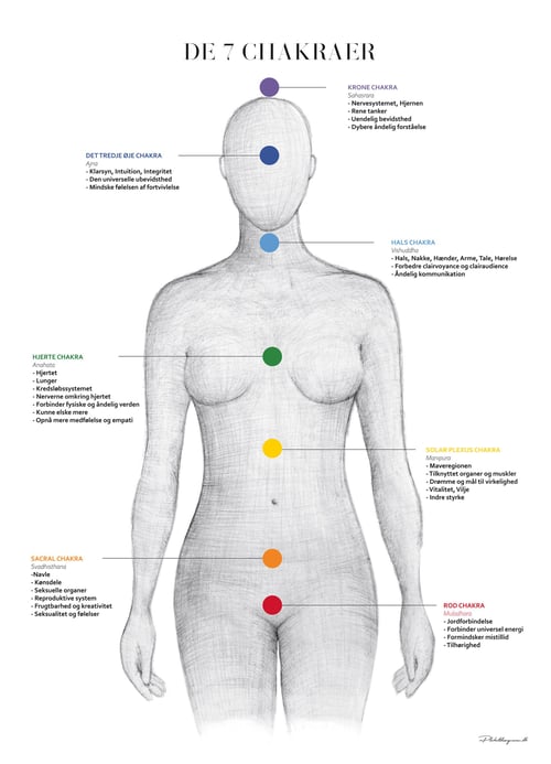 De 7 Chakraer - A3 & B2 (50x70) fra PlakatDesigneren / RosenkrantzGrafisk