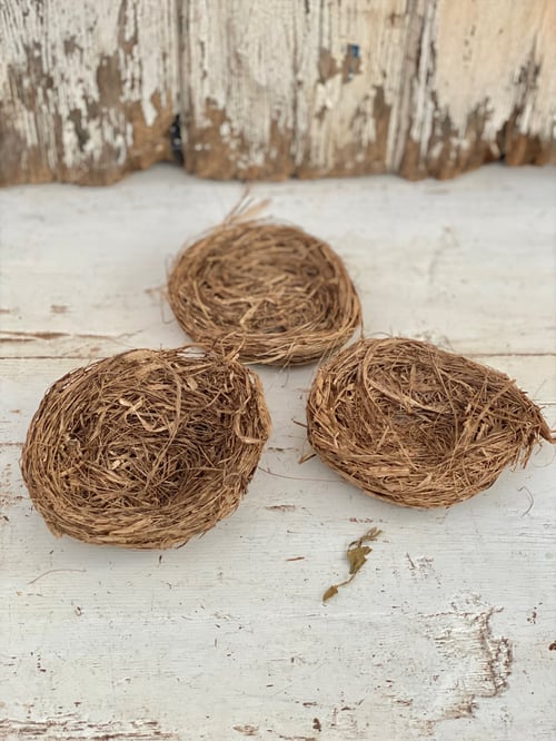 Påske rede. fra Anno 1808