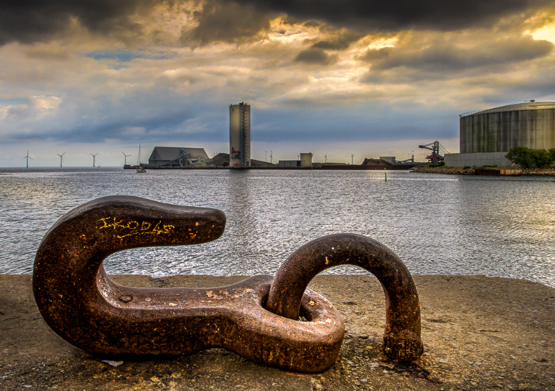 Udsigt over havnen på Refshaleøen - billede 1