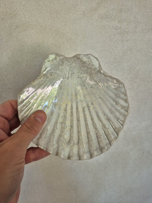 Musling krystalhvid fra En strandet hval