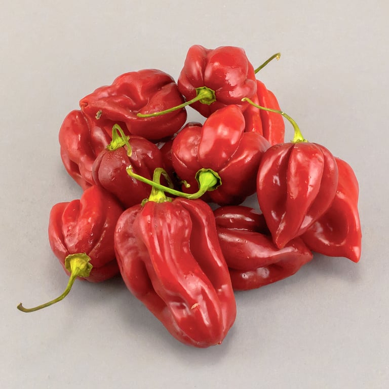 Vegetable Chilli Africa  250g