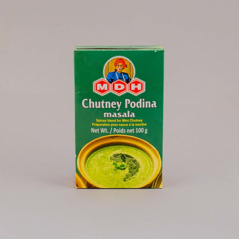 MDH Chutney Pudina Masala 100g