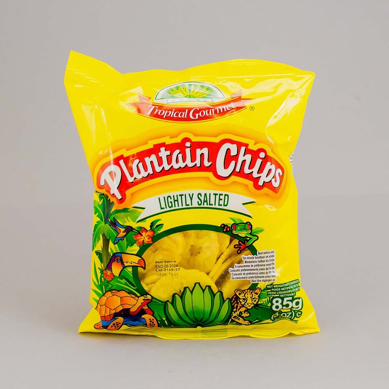 TG Salted Plaintain Chips 85g