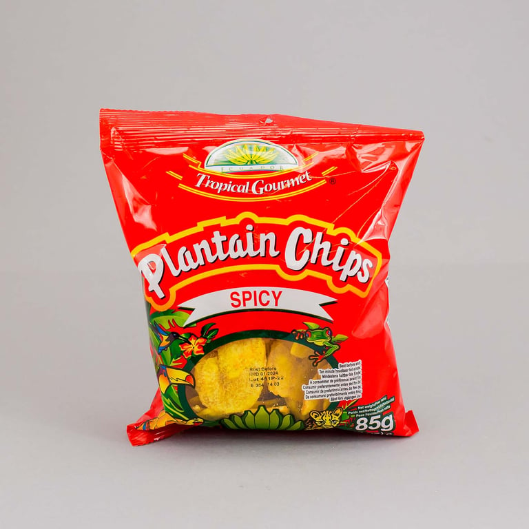 TG Spiced Plantain Chips 85g