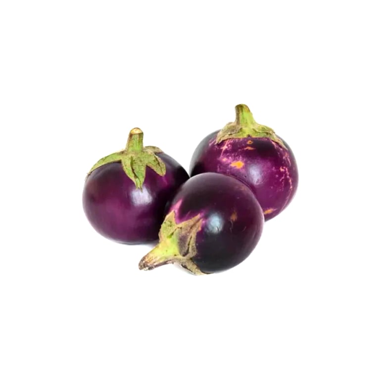 Fresh vegetables Eggplant 500g