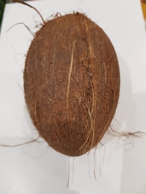 Fruit Coconut 1pcs