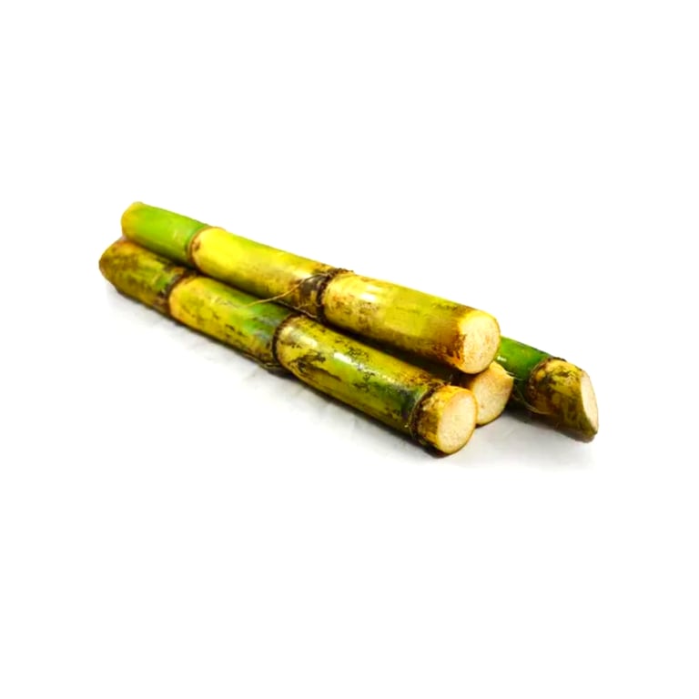 Fresh vegetables Sugar can 1stk