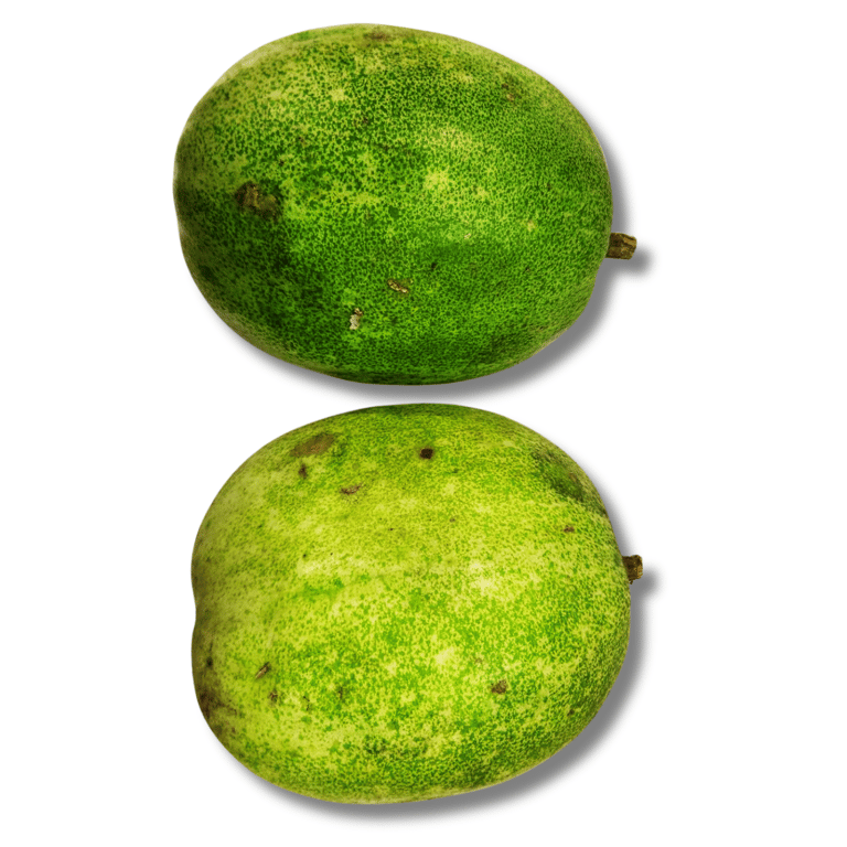 Vegetable Ash Gourd 1pc