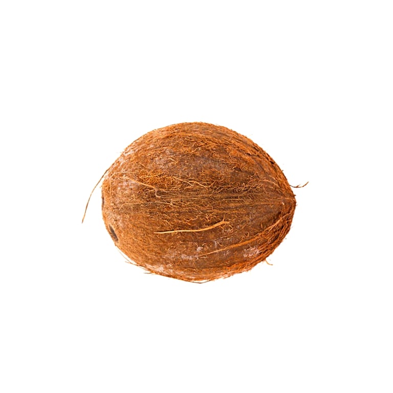 Fresh vegetables Coconut 1stk