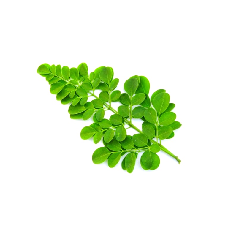 Fresh vegetables Drumstick leave 400g/500g