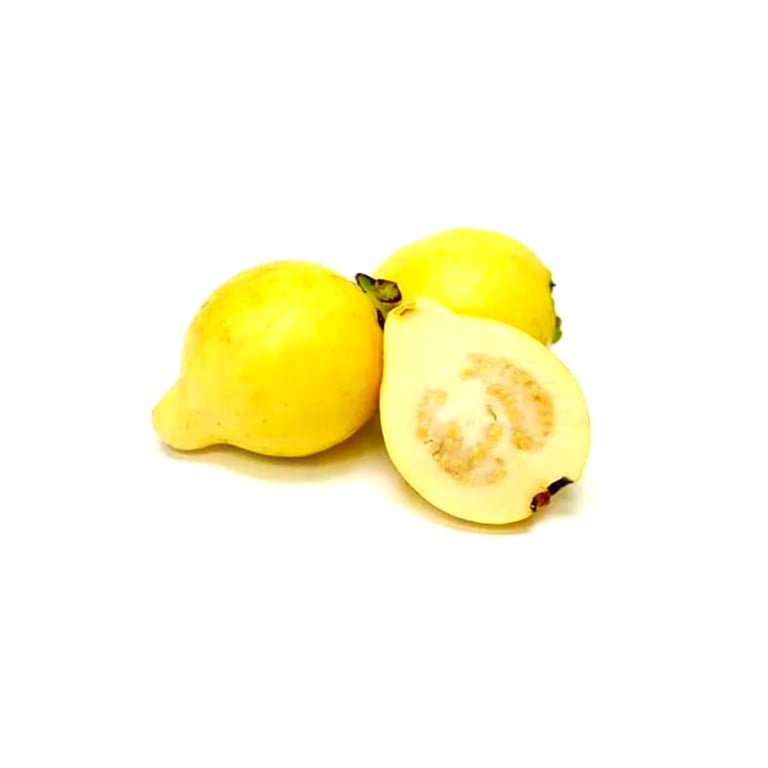Fresh vegetables Small guava 500g