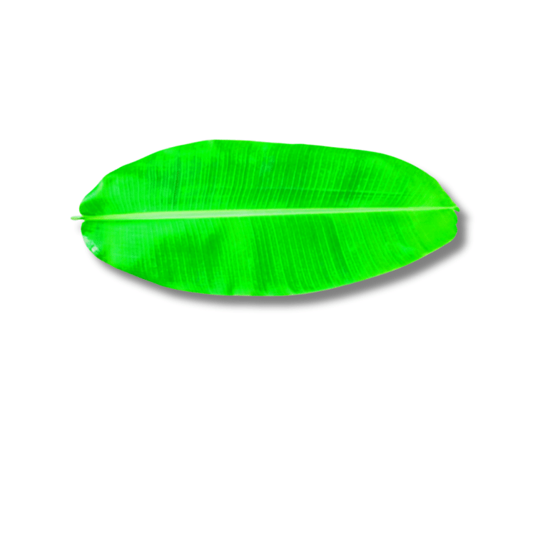 Vegetables Banana Leaves 1pc