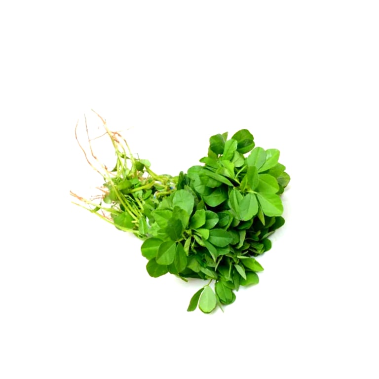 Fresh vegetables Methi  leave 1stk