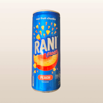 Real food chunks Rani float juice mango 200g