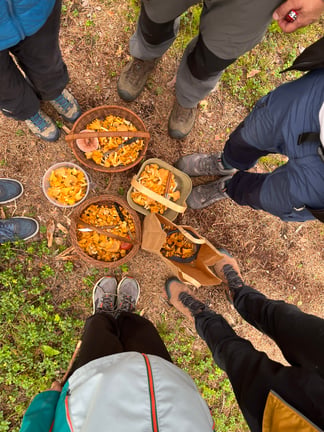Mushrooming in Kemeri, Latvia