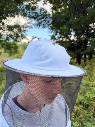 Balvi Bees, Latvia