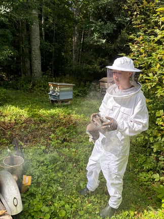Balvi Bees, Latvia