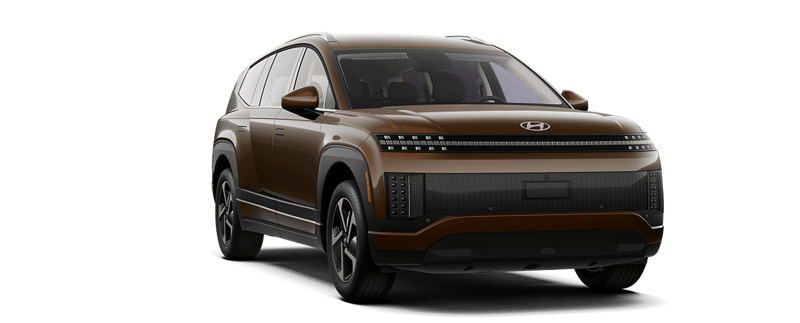 Brun coucher de soleil