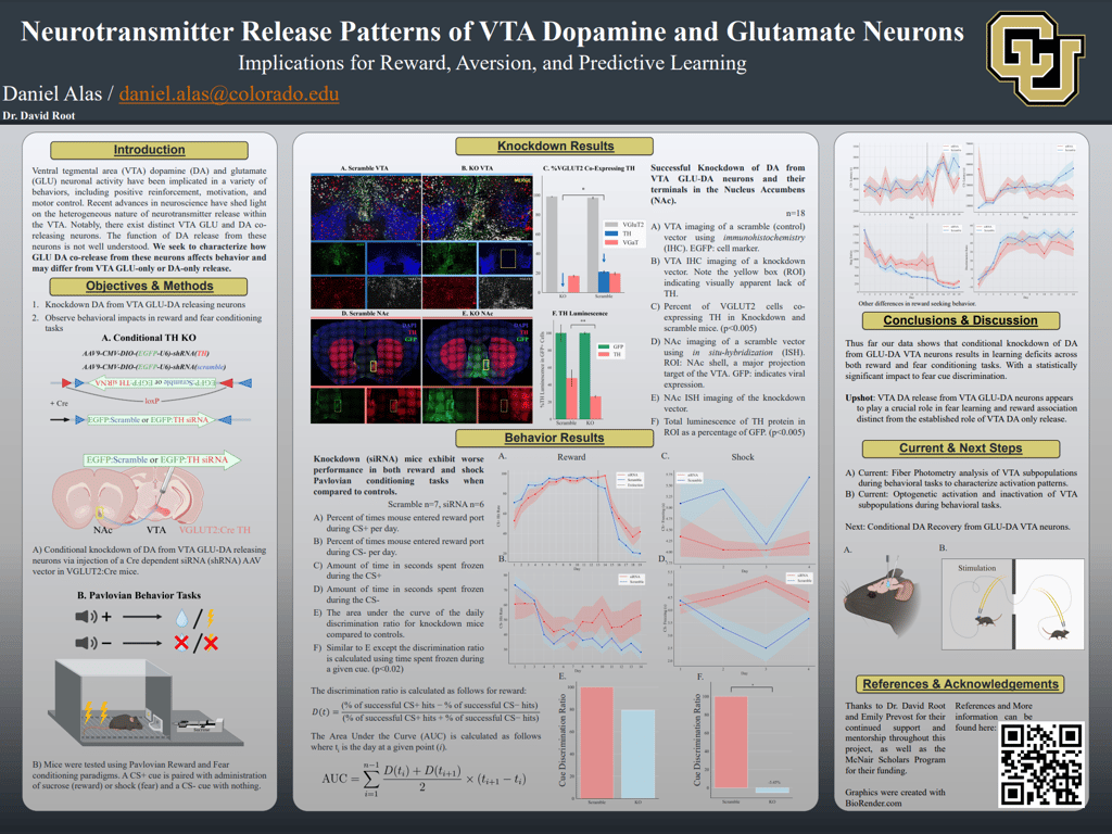 Role of VTA Dopamine and Glutamate