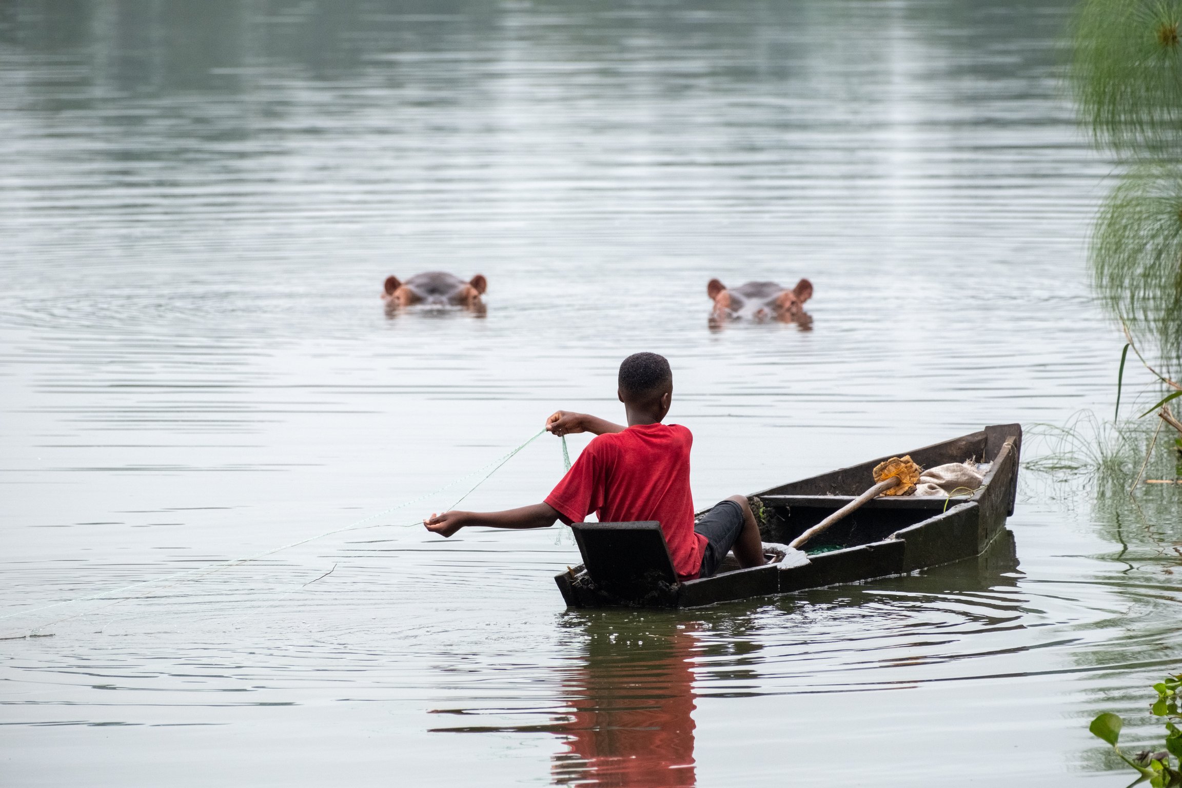 image of a child fishing on a wooden boat with two hippos looking at him