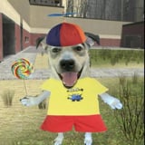 store avatar