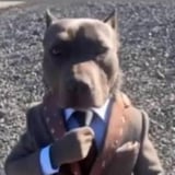 store avatar