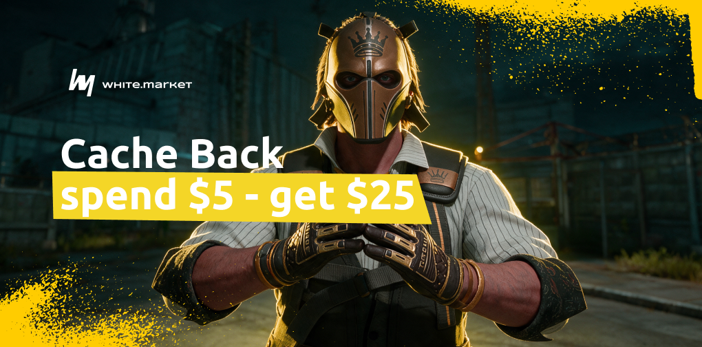 Terms and Conditions of the “Cache Back” Promotion	