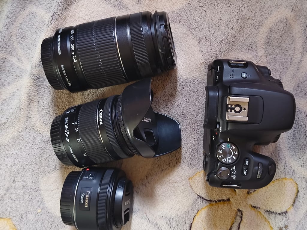 Canon EOS 200D DSLR with 18-55mm, 55-250mm & 50mm f/1.8 Lenses
