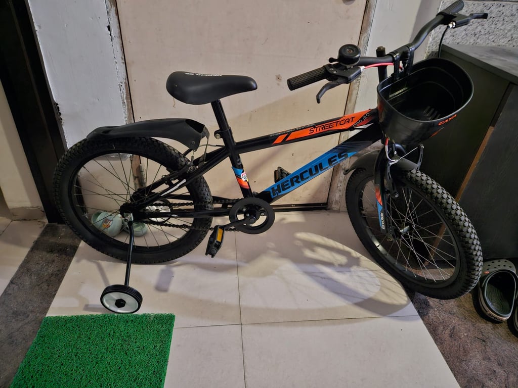 Hercules Streetcat Pro 20 Kids Bicycle, photo 2