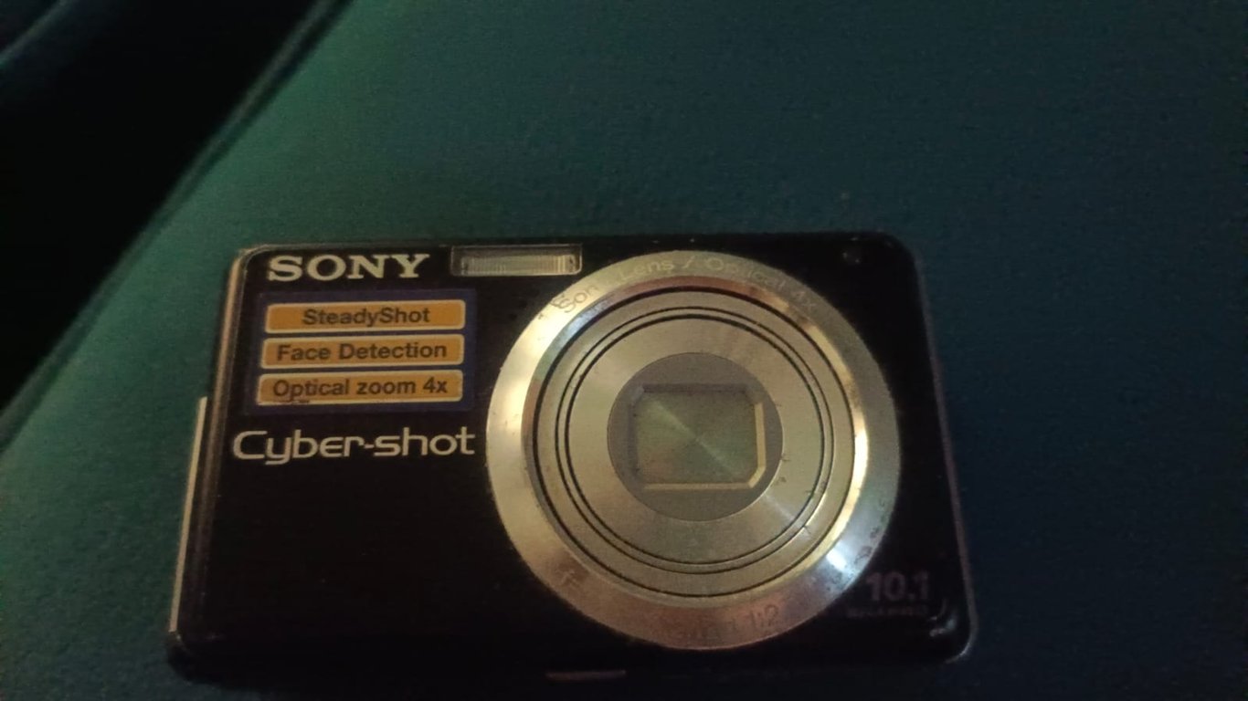 Sony Cyber-shot DSC-W180 10.1MP Digital Camera