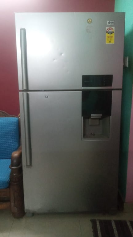 LG Express Cool Frost Free Refrigerator, photo 6