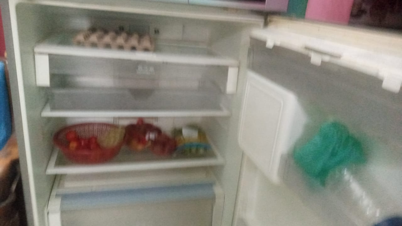 LG Express Cool Frost Free Refrigerator, photo 5
