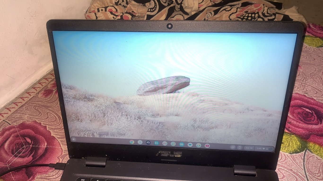 ASUS Chromebook C423N 14-inch, photo 6