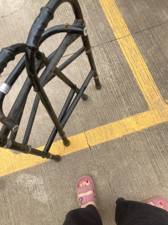Dual-Grip Folding Mobility Walker