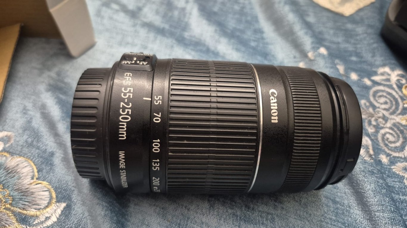Canon EF-S 55-250mm f/4-5.6 IS Telephoto Zoom Lens
