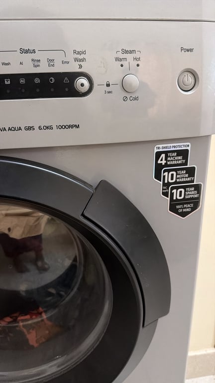 IFB Diva Aqua GBS 6kg Front Load Washing Machine, photo 3