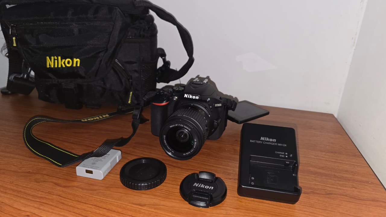 Nikon D5600 DSLR with AF-P DX 18-55mm f/3.5-5.6G VR Lens, photo 5