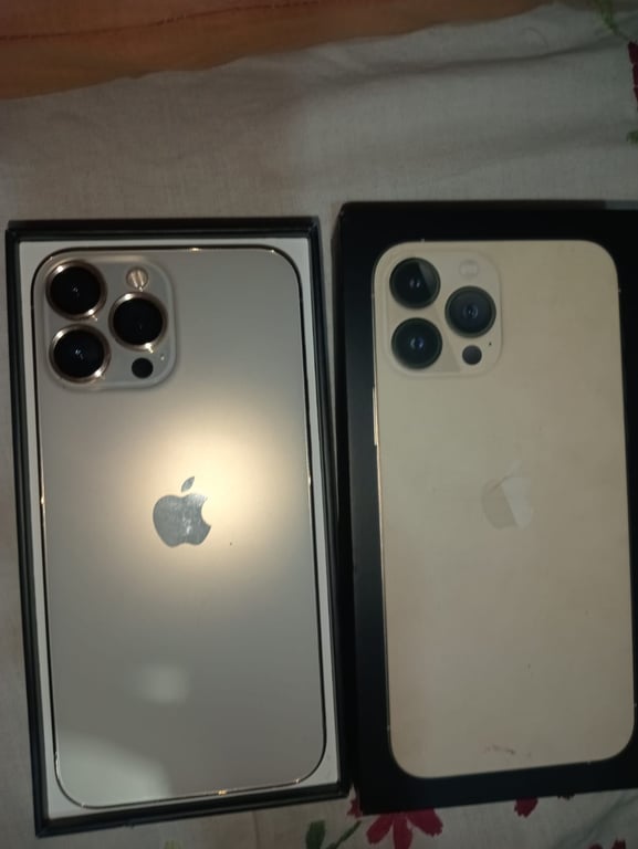 Apple iPhone 13 Pro Max