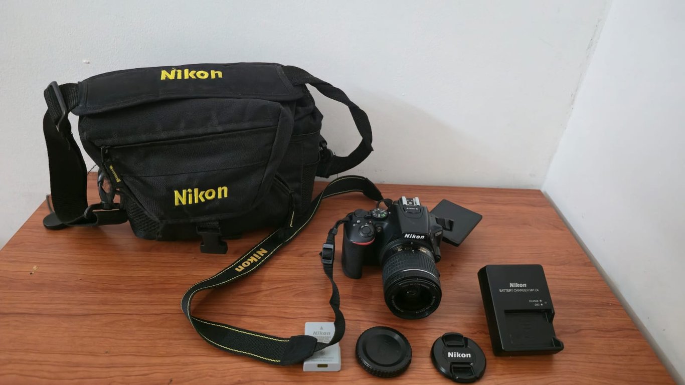 Nikon D5600 DSLR with AF-P DX 18-55mm f/3.5-5.6G VR Lens, photo 6