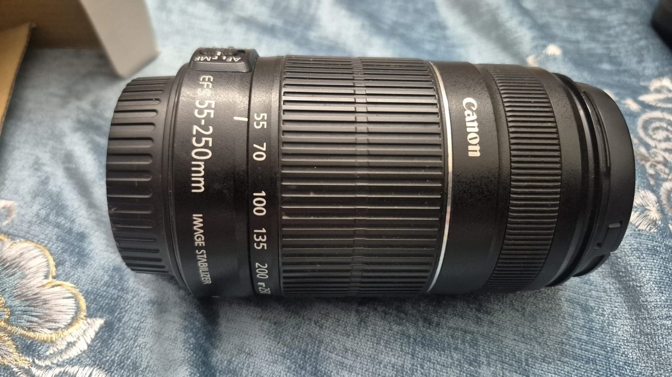 Canon EF-S 55-250mm f/4-5.6 IS Telephoto Zoom Lens, photo 2