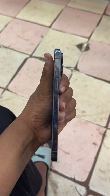 Apple iPhone 13 Pro Max, photo 3