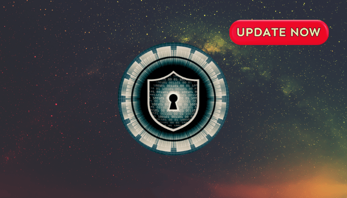 Coordinated Vulnerability Disclosure