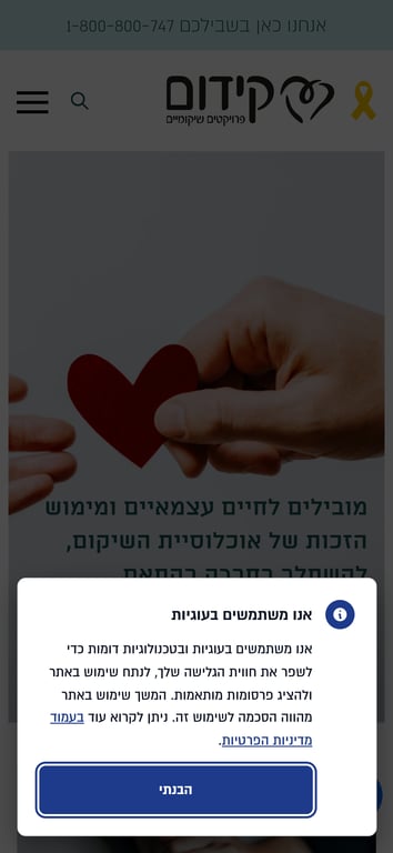 קידום פרוייקטים שיקומיים | פלטפורמת וורדפרס מתקדמת